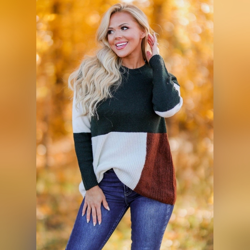 Colorblock Sweater (S) NWOT